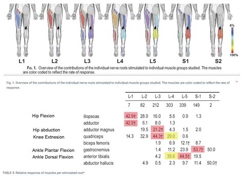 kinesiology testing for lumbar compression|lower extremity spine test results.